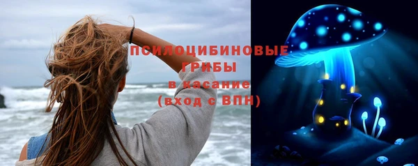тгк Аркадак