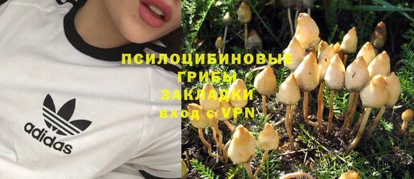 a pvp Арсеньев
