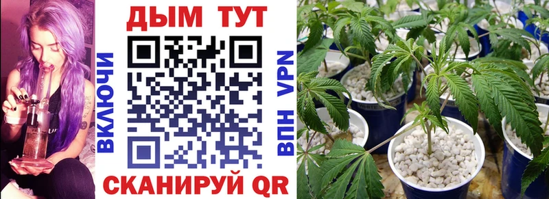 МАРИХУАНА гибрид  Серов 